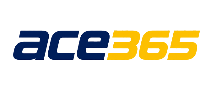 ace365 logo for the homepage
